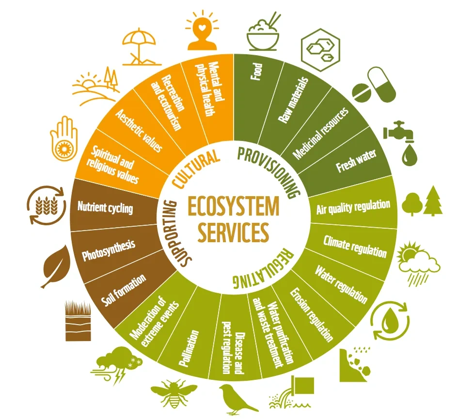 Figure 1 - Categories of ecosystem services. Source: WWF Living Planet Report (2016)