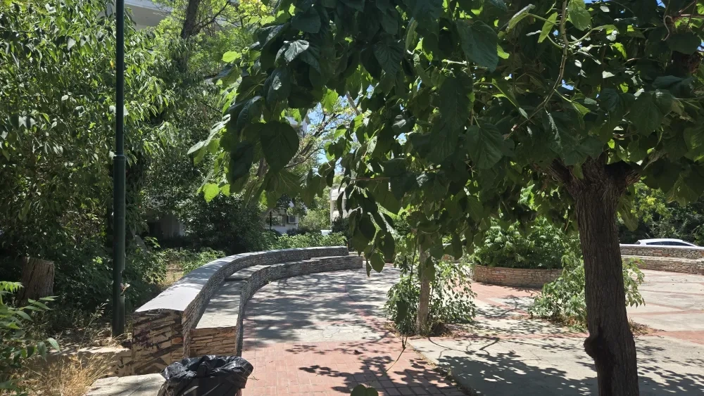 Image 3: Site visit in Probonas, July 2025, image by author