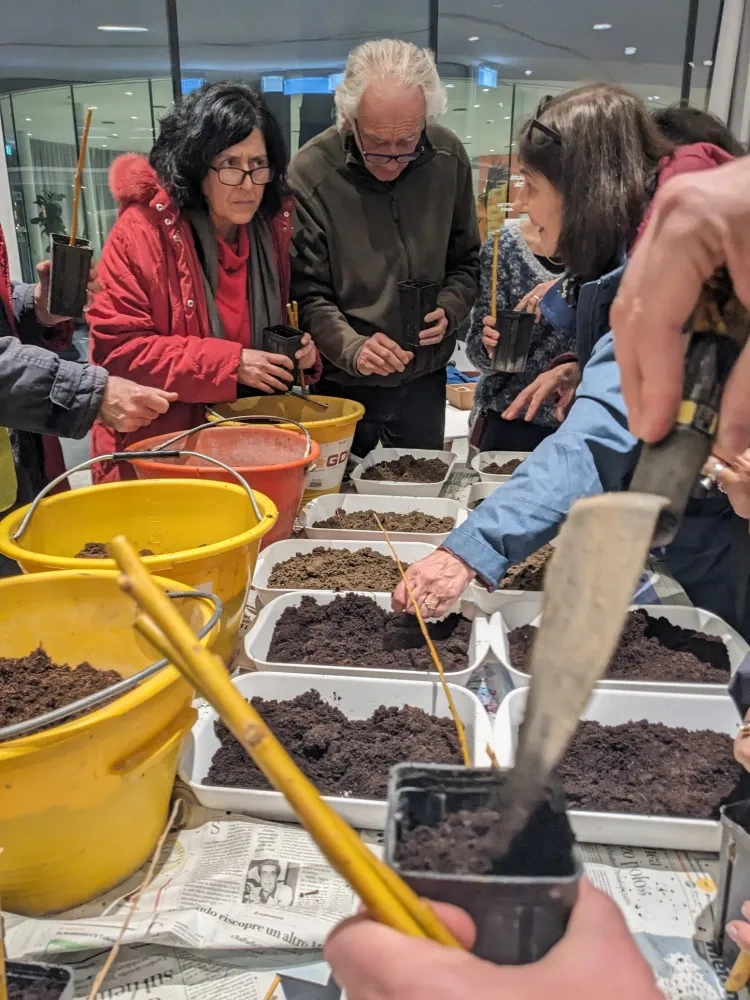 Vegeation propagation workshop