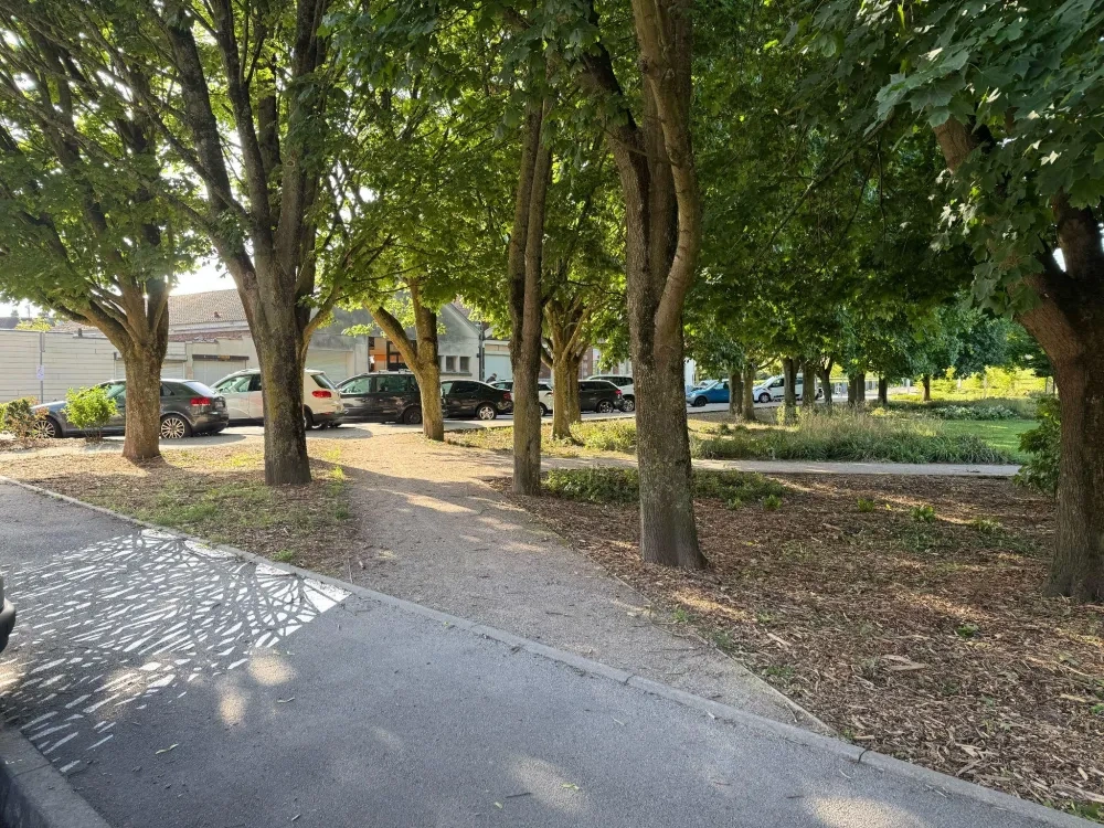 Racines in Parc Danel, Loos © Clémentine CARSBERG 