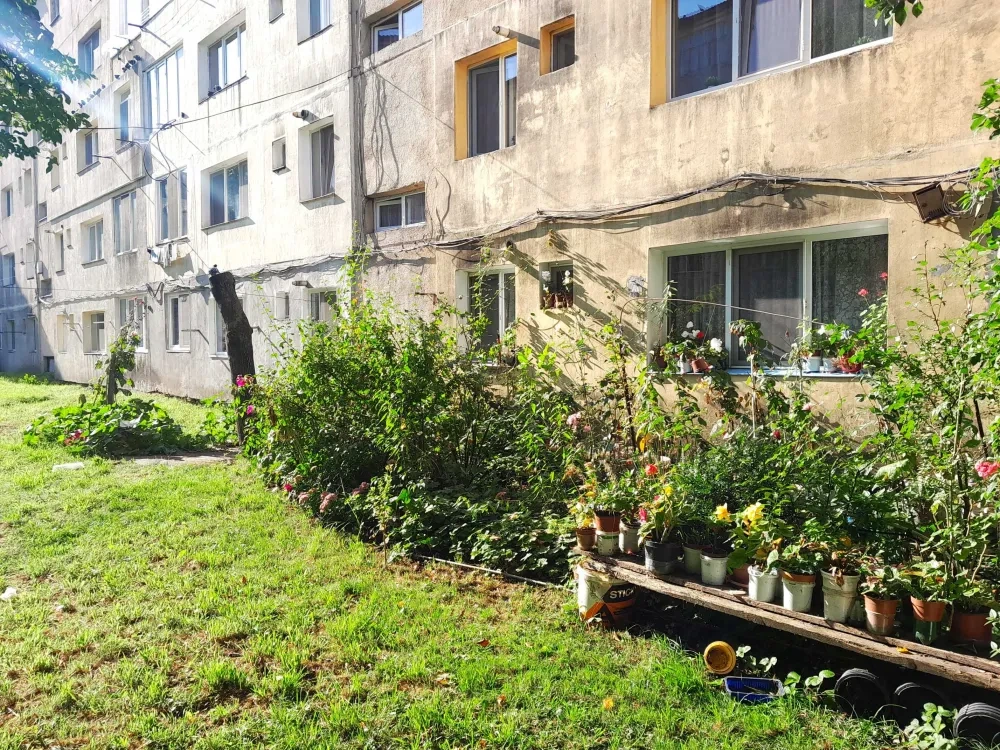 Informal garden a peripheral collective housing neighbourhood in Bistrița
