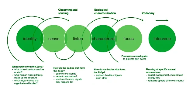 An overview of the zoönomic annual cycle © Pedroso-Roussado et al. (2025)