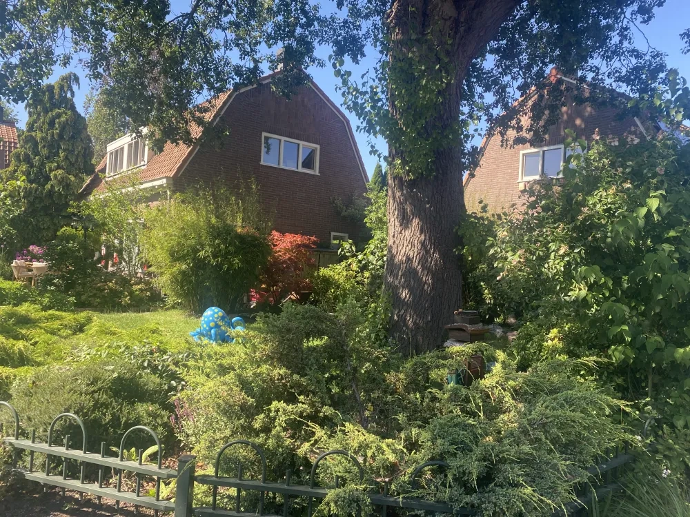 Nature in Tuindorp Oostzaan © Marcelline Bonneau