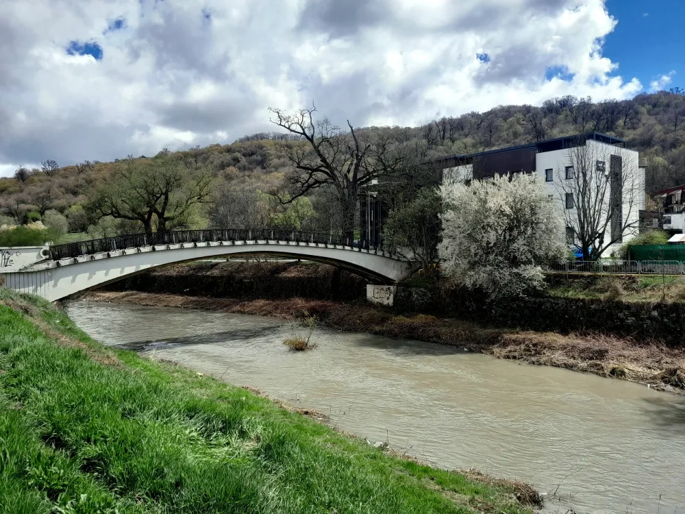 The degraded banks of River Bistrița to be regenerated