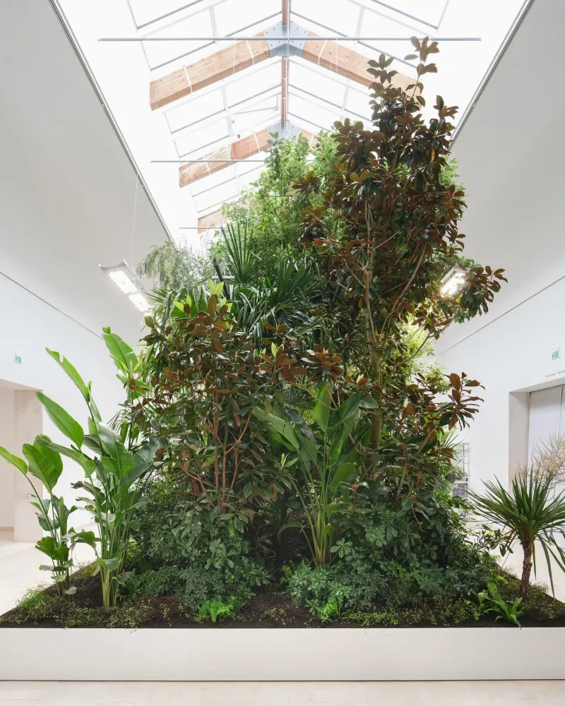 An integration of bioclimatic principles to improve thermal quality indoors in the experimental Belgian Pavilion in Venice Biennale 2025