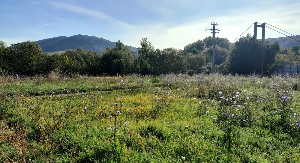 One of the locations to be turned into inclusive, multifunctional green areas