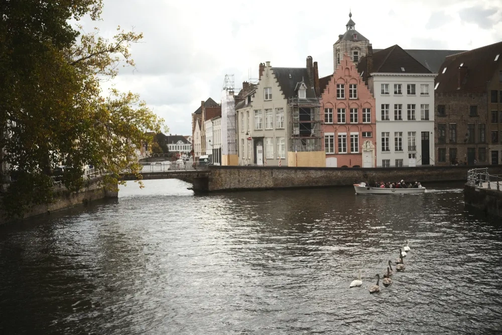 Bruge: Water, swans, cultural heritage