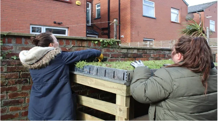 Groundwork Manchester alleyway greening